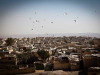 Birds circle in the sky above a city with many stone walls and buildings visible below