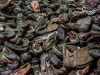 A photograph of a pile of discarded shoes