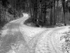 Snowy roads at a crossroads with trees. Photo: Daniel Ebneter/Flickr