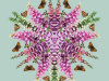 Foxglove design