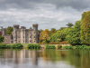 A castle swathed in forest sitting at water's edge