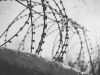 A black and white photograph of rolls of barbed wire affixed above a stone wall