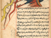 A simurgh (a monstrous mythical bird with the power of reasoning and speech). From Marvels of Things Created and Miraculous Aspects of Things Existing, by al-Qazwīnī (d. 1283/682). Courtesy of the National Library of Medicine, Islamic Medical Manuscripts collection.