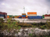 A photograph of a scrubby untended patch of plants sitting just outside of the fence to an industrial area