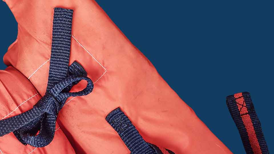 Life-vest, partially cropped so that only the straps are visible