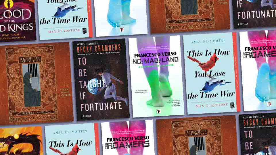 A collage made from the covers to the books discussed below