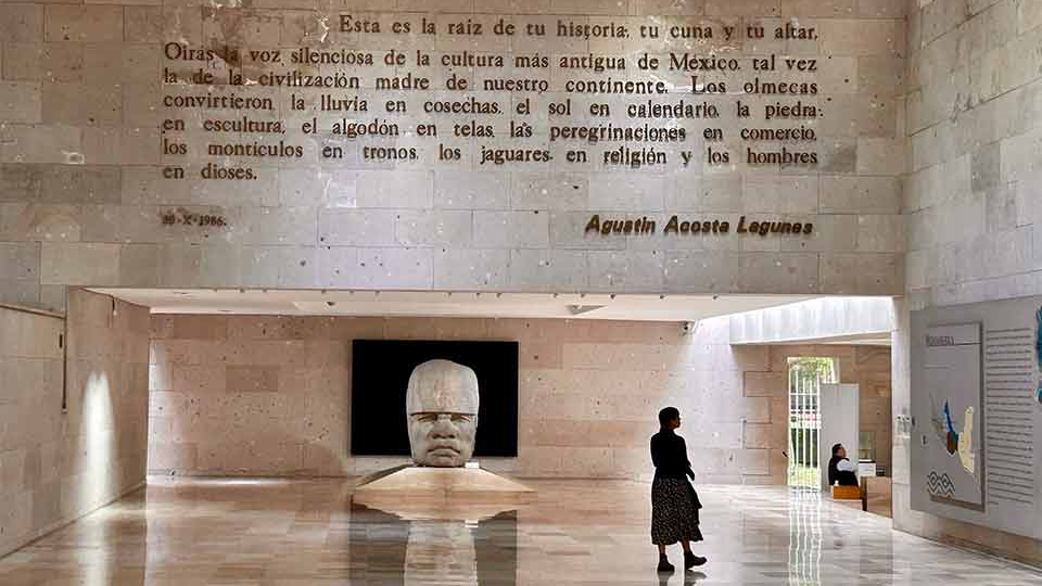 A figure in shadow stands in a large museum space
