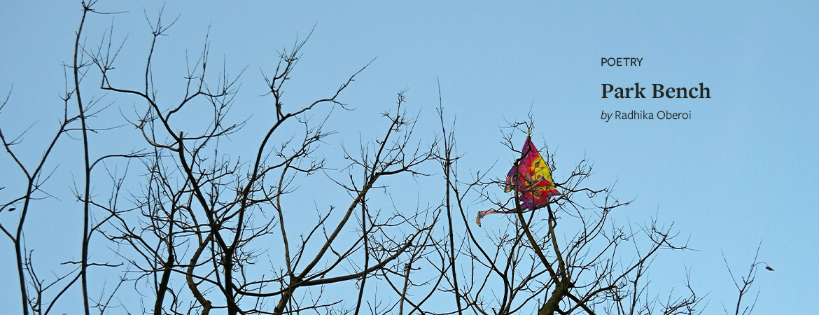 A brightly colored cloth caught in the high branches of a tree against a blue sky