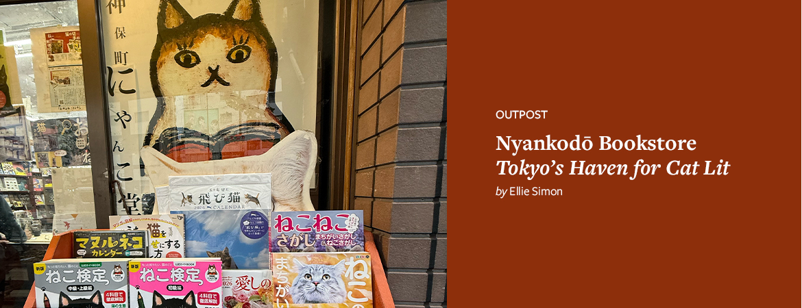 A window painting of a cat stares at the viewer as we approach the storefront