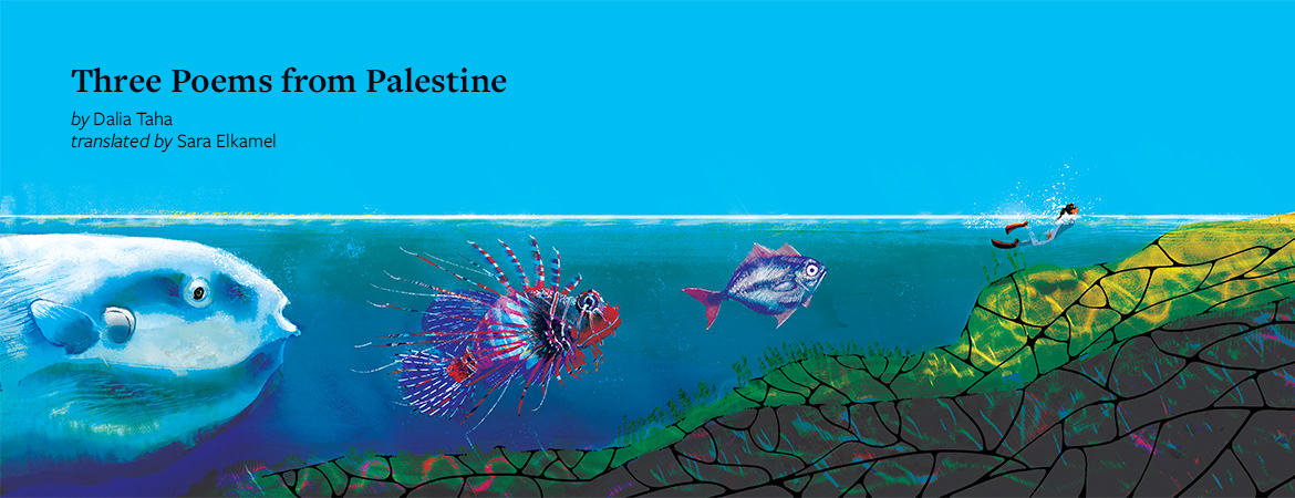 An illustration of fish following a tiny human swimmer