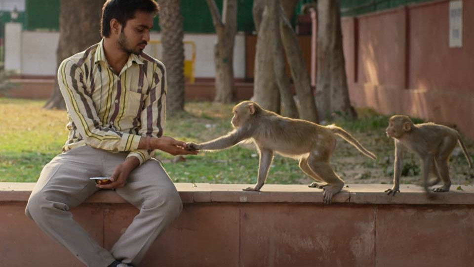 A man sits in an urban park. He has stretched out his hand to a monkey nearby. Another monkey watches then.