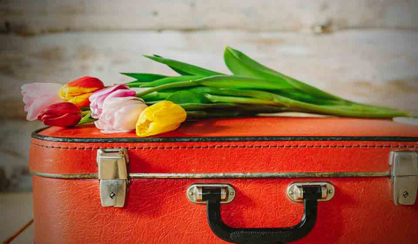 Cut flowers on a red suitcase