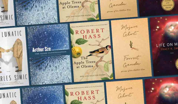 Covers to some of the book's discussed below