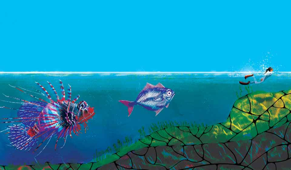 An illustration of fish following a tiny human swimmer