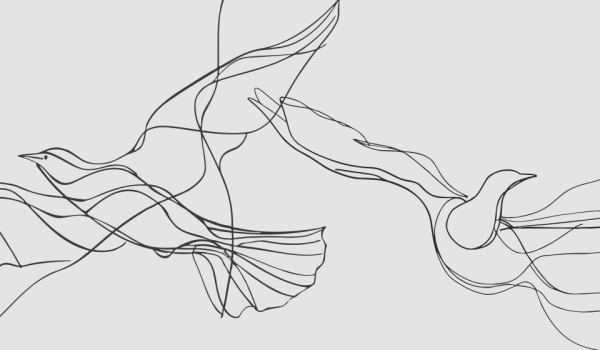 A spare line drawing suggesting avian form