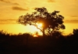 Johannesburg