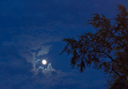Moon in the sky