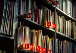 Library bookshelf with sunlight on book spines. Photo by Lubos Huska/Pixabay.