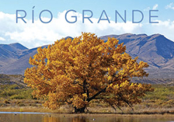 The cover to Poems from the Río Grande by Rudolfo Anaya