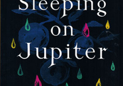 The cover to Sleeping on Jupiter by Anuradha Roy