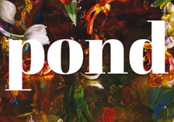 The cover to Pond by Claire-Louise Bennett