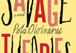 The cover to Savage Theories by Pola Oloixarac