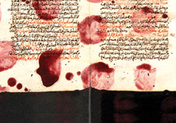 The cover to The Book of Collateral Damage by Sinan Antoon