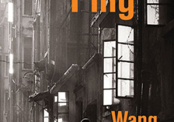 The cover to Fu Ping by Wang Anyi