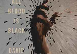 The cover to At Night All Blood Is Black by David Diop