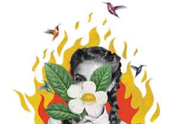 The cover to El año del viento by Karina Pacheco Medrano