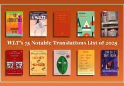 Covers to several of the books discussed below. Text reads: WLT's 75 Notable Translations of 2025.