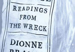 The cover to Salvage: Readings from the Wreck by Dionne Brand