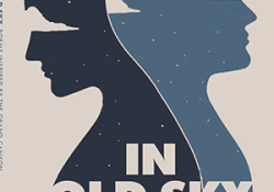 The cover to In Old Sky by Lauren Camp