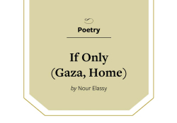 Image restates title and author