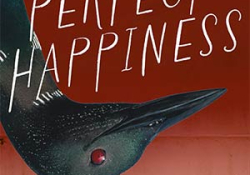 The cover to Perfect Happiness by You-Jeong Jeong