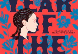 The cover to  The Year of the Wind by Karina Pacheco Medrano