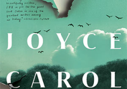 The cover to Fox by Joyce Carol Oates