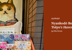 A window painting of a cat stares at the viewer as we approach the storefront