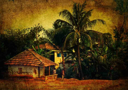 A photograph of a hut in a tropical setting. The image has a dark filter on it.