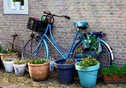 A photograph of a blue bicycle leaning up against a brick wall