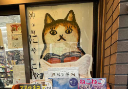 A window painting of a cat stares at the viewer as we approach the storefront