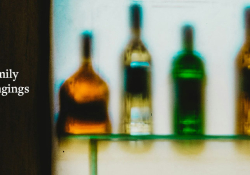 A row of bottles against a lit background as seen through a translucent filter