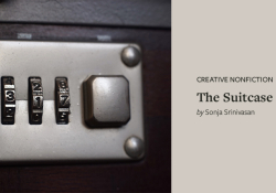 A close-up view of a combination lock on a briefcase