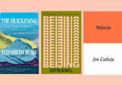 The covers to The Quickening, Beijing Sprawl, and Vehicle from the list below