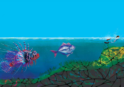 An illustration of fish following a tiny human swimmer