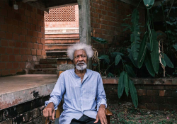 A photograph of Wole Soyinka