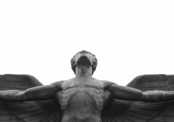 A photograph of a winged figure looking upward into a perfectly white sky