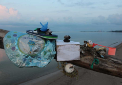 Water-logged trash, including a child's mylar balloon, a notebook and a sandal, lay on a tree branch with a lake stretching out in the background behind it