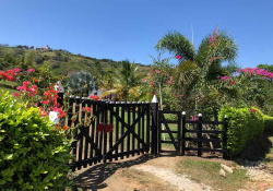 A closed gate on a dirt path, surrounded by greenery