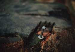 A close up photograph of a bolt and washer jutting from a rough, wet piece of wood